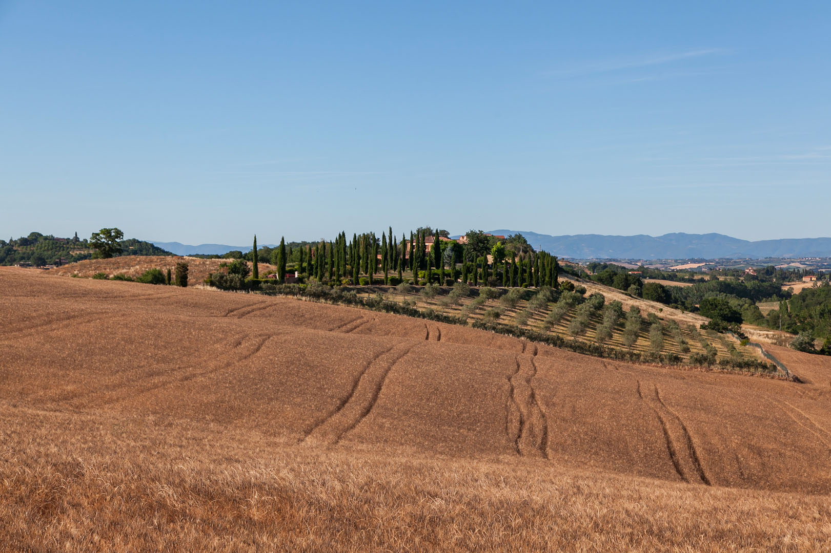 VILLE CASALI DI CAMPAGNA IN VENDITA, CASA CAMPAGNE TOSCANA, UMBRIA